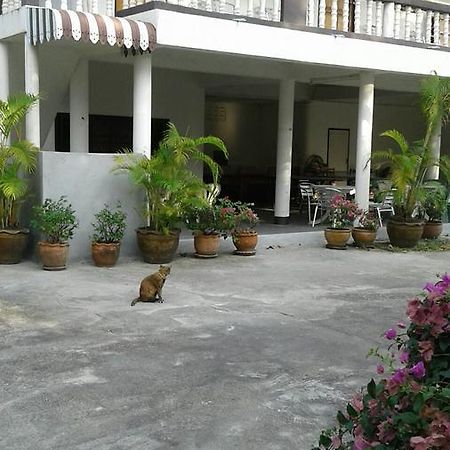 My Palace Inn パンガン島 エクステリア 写真