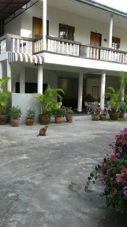 My Palace Inn パンガン島 エクステリア 写真